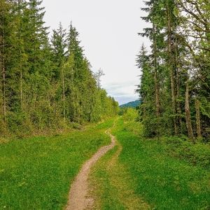 Under $16 Jewelry & Clothes Items  5/$25